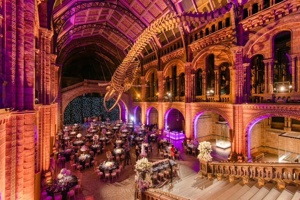 The Natural History Museum, famous museum and wedding venue in London 