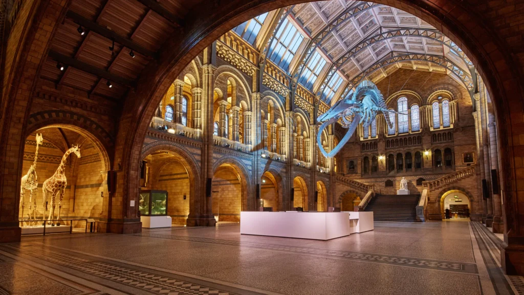 Natural history museum London
UK visitor attraction 
wedding venue 